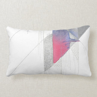 Almofada Lombar Fonte: Travesseiro