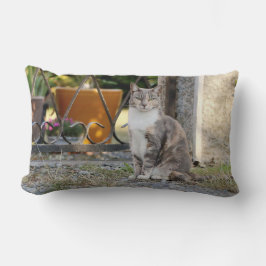 Almofada Lombar Foto: gato, animais. travesseiro decorativo