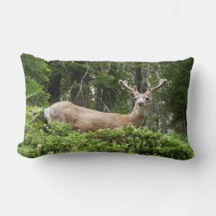 Almofada Lombar Fotografia Animal Yosemite Deer Nature