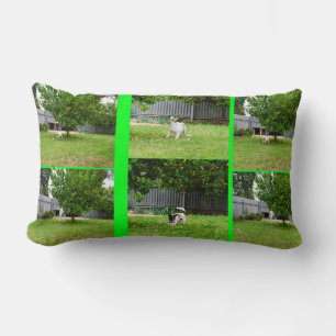 Almofada Lombar Fox Terrier Colage, Lumbar Cushion.