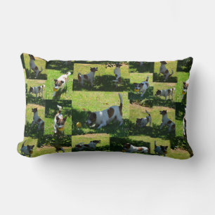 Almofada Lombar Fox Terrier, Foto Collarge Lumbar Cushion.