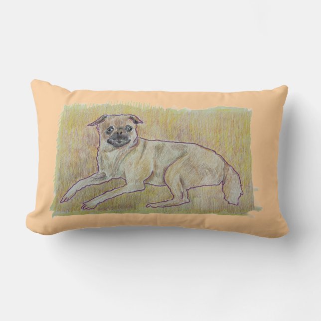 Almofada Lombar Frankie Travesseiro (Frente)