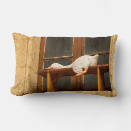 Almofada Lombar Ganho de pouso ganha Travesseiro decorativo