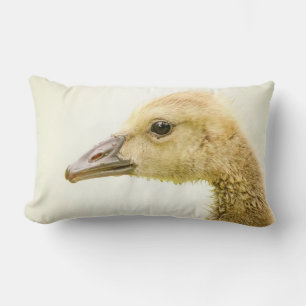 Almofada Lombar Ganso canadense (Gosling)