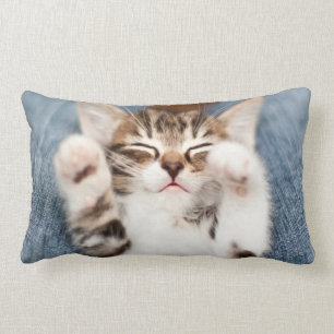 Almofada Lombar Gatinho em meu regaço