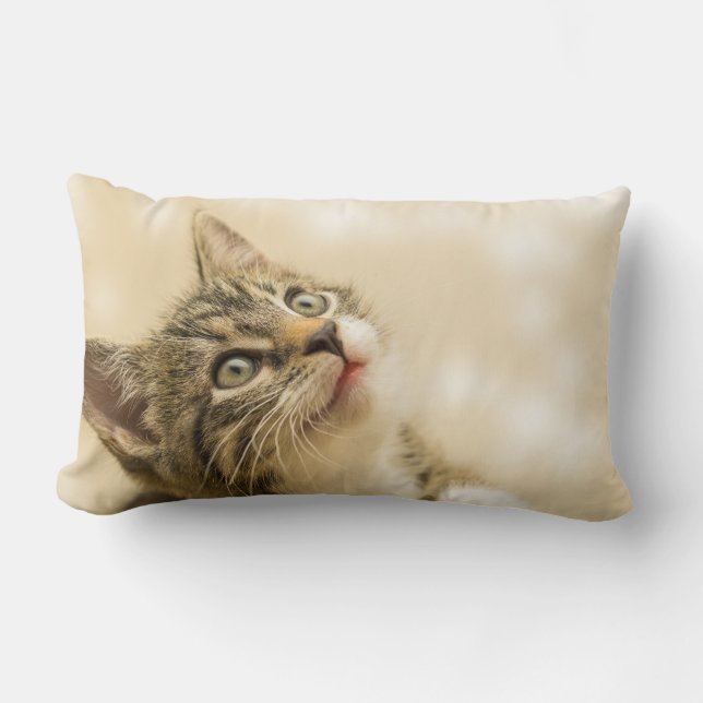 Almofada Lombar Gatinho Fofo com uma Pata Estimulada (Frente)