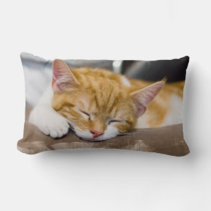 Almofada Lombar Gatinho Gato