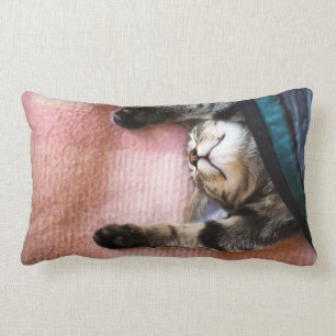 Almofada Lombar Gatinho Snoozing