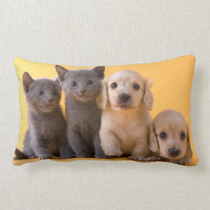 Almofada Lombar Gatinhos do russo e filhotes de cachorro azuis do