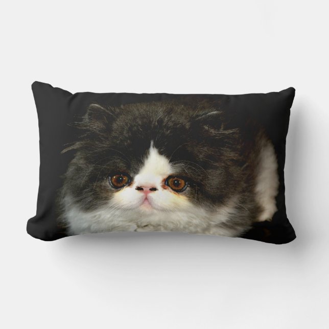 Almofada Lombar Gato branco preto Gato branco preto (Frente)