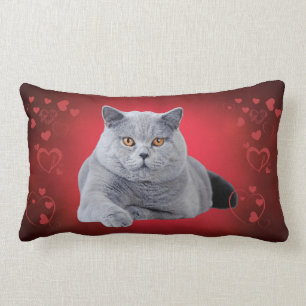 Almofada Lombar Gato de amor de curta distância britânico