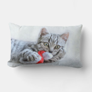 Almofada Lombar Gato de gato malhado cinzento bonito com Xmas do