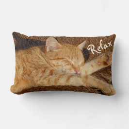 Almofada Lombar Gato de relaxamento