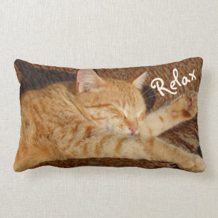 Almofada Lombar Gato de relaxamento