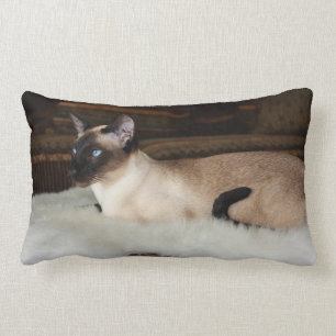 Almofada Lombar Gato Siamese elegante