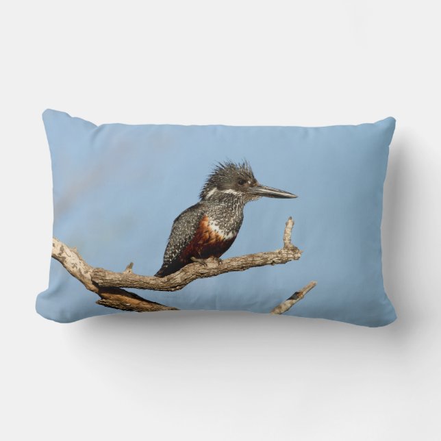 Almofada Lombar Giant Kingfisher (Frente)