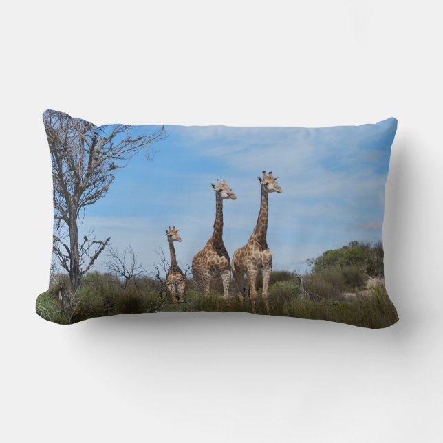 Almofada Lombar Girafas no Horizonte Calmo (Frente)