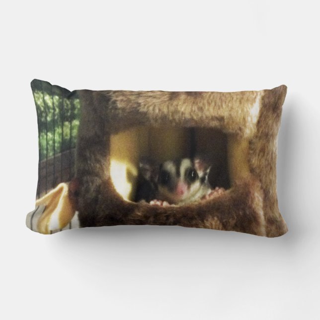 Almofada Lombar Glider de Açúcar na Cama do Caminhão de Árvore Fur (Frente)