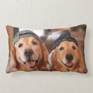 Almofada Lombar Golden retriever com boné de beisebol