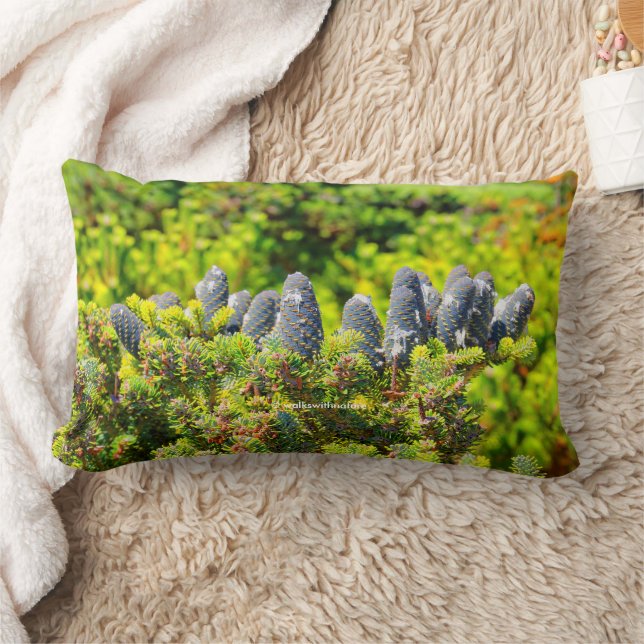 Almofada Lombar Grande Coreano Coreano e Cones (Cobertor)