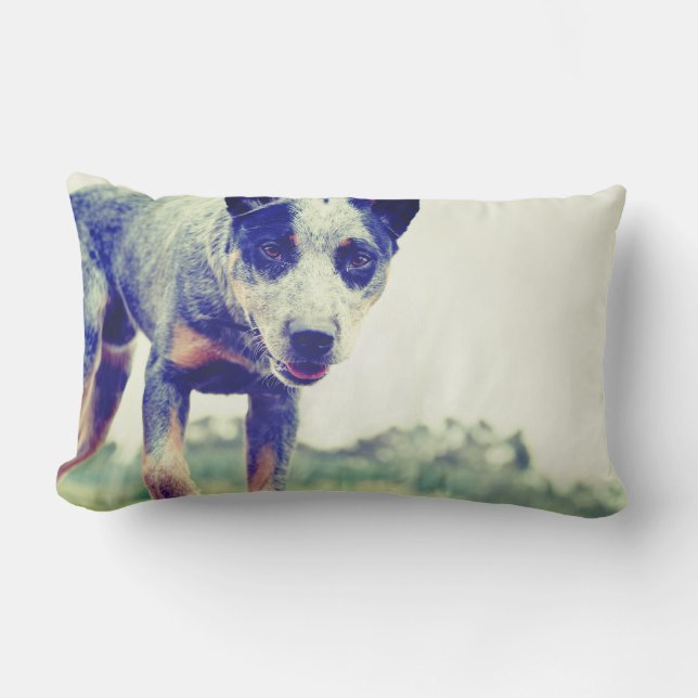 Almofada Lombar Heeler azul (Frente)