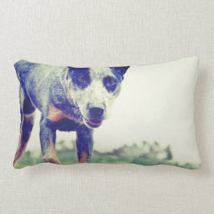 Almofada Lombar Heeler azul