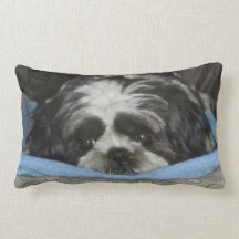 Huggable Shih Tzu Travesseiro
