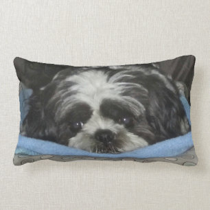 Almofada Lombar Huggable Shih Tzu Travesseiro