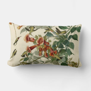 Almofada Lombar Hummingbird Ruby Throbon Audubon