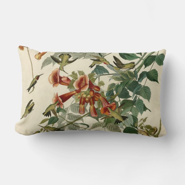 Almofada Lombar Hummingbird Ruby Throbon Audubon (Frente)
