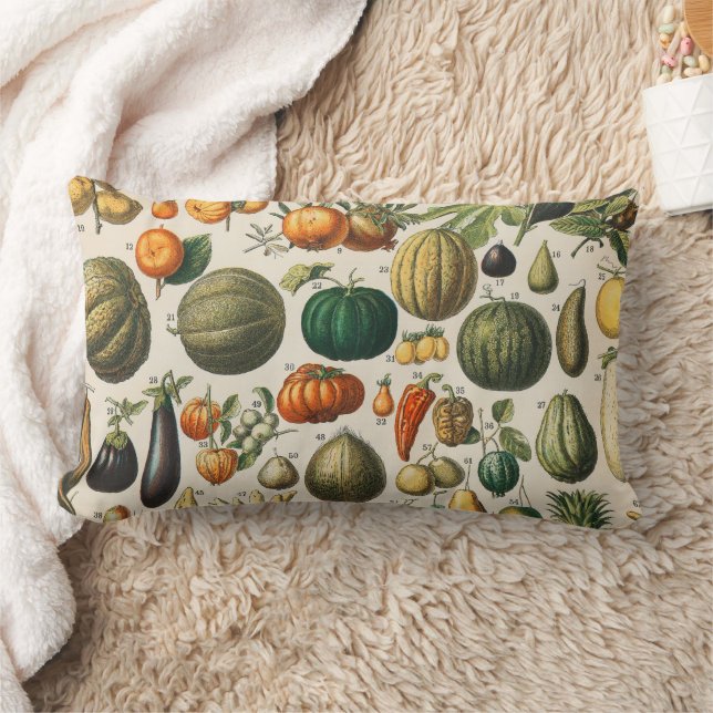 Almofada Lombar Ilustração Científica Botânica Vegetal fruta (Cobertor)