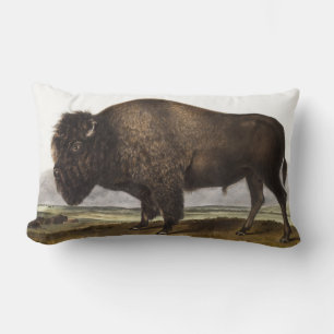 Almofada Lombar Ilustração do American Bison (Bos Americanus)