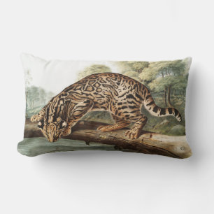 Almofada Lombar Ilustração Ocelot, Gato-Leopardo (Felis pardalis