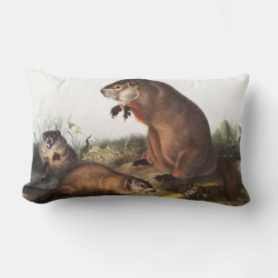 Almofada Lombar Ilustração Woodchuck (Arctomys monax)
