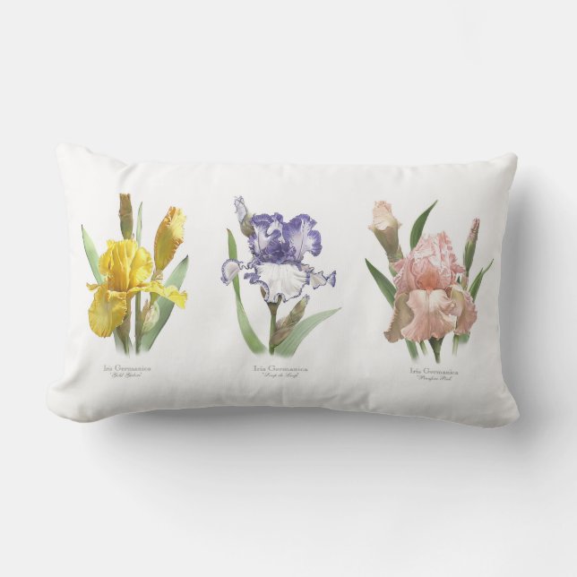 Almofada Lombar Iris Flower Garden (Frente)