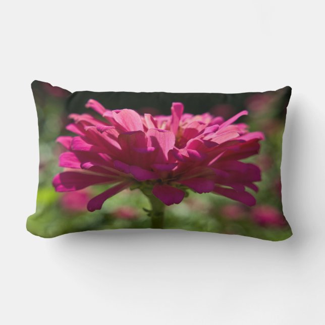 Almofada Lombar Joyful Zinnia (Frente)
