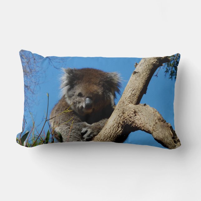 Almofada Lombar Koala Ursa O Whisperer Da Árvore, (Frente)