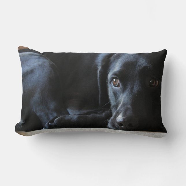 Almofada Lombar Labrador preto (Frente)