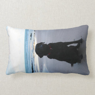 Almofada Lombar Labrador preto em uma praia