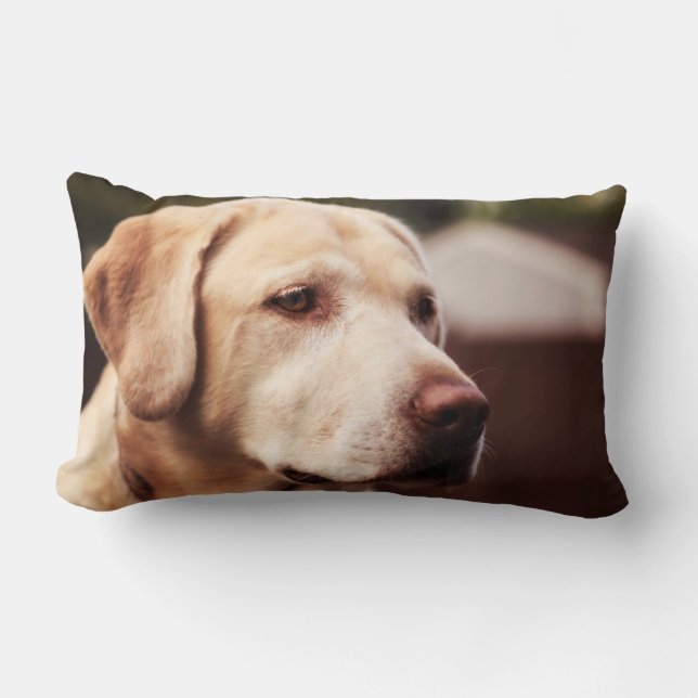 Almofada Lombar Labrador Retriever (Frente)
