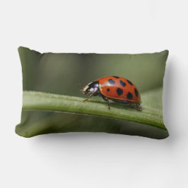 Almofada Lombar Ladybug Insect