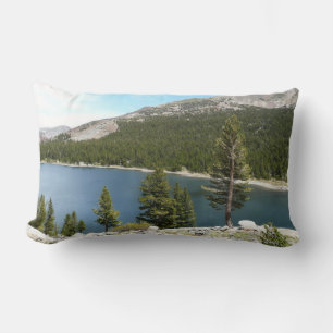 Almofada Lombar Lago Tenaya no Parque Nacional de Yosemite