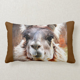 Almofada Lombar Lama