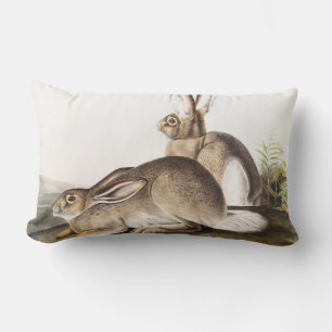 Almofada Lombar Lepus Townsendii (Lepus Townsendii)