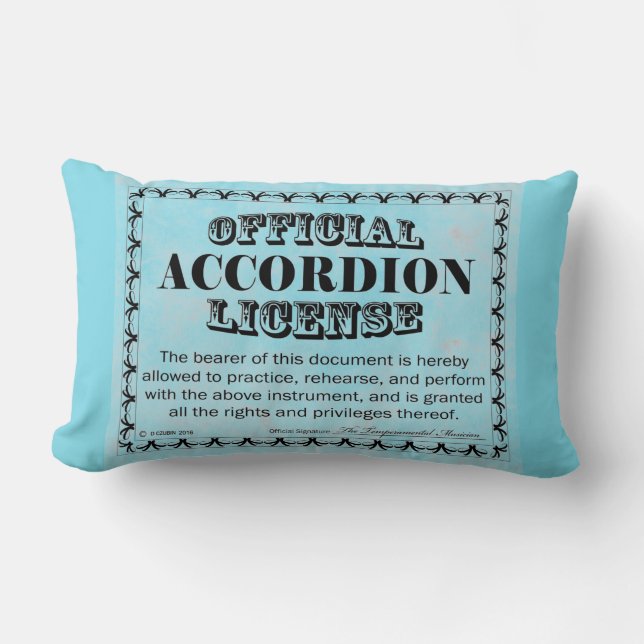 Almofada Lombar Licença Acordeão (Frente)