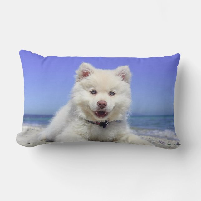 Almofada Lombar Lindo Cão Samoyed (Frente)