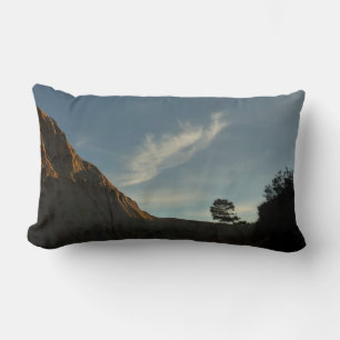 Almofada Lombar Lone Torrey Pine California Sunset Landscape