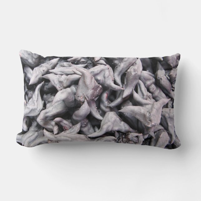 Almofada Lombar Loucos de Buffalo - Água Caltrop (Frente)
