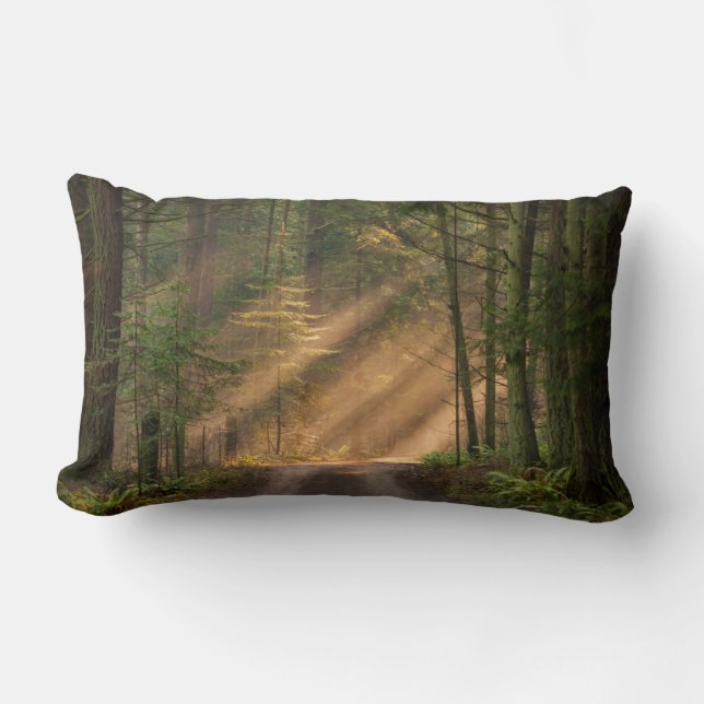 Almofada Lombar Luz solar que brilha através de uma floresta (Frente)