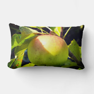 Almofada Lombar Maçã verde e rosa